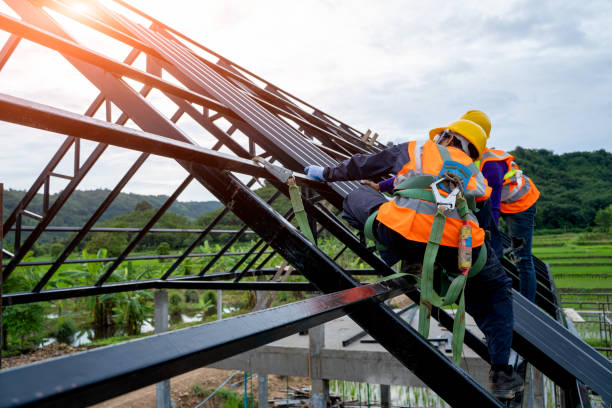 Best Roof Gutter Cleaning  in Colquitt, GA